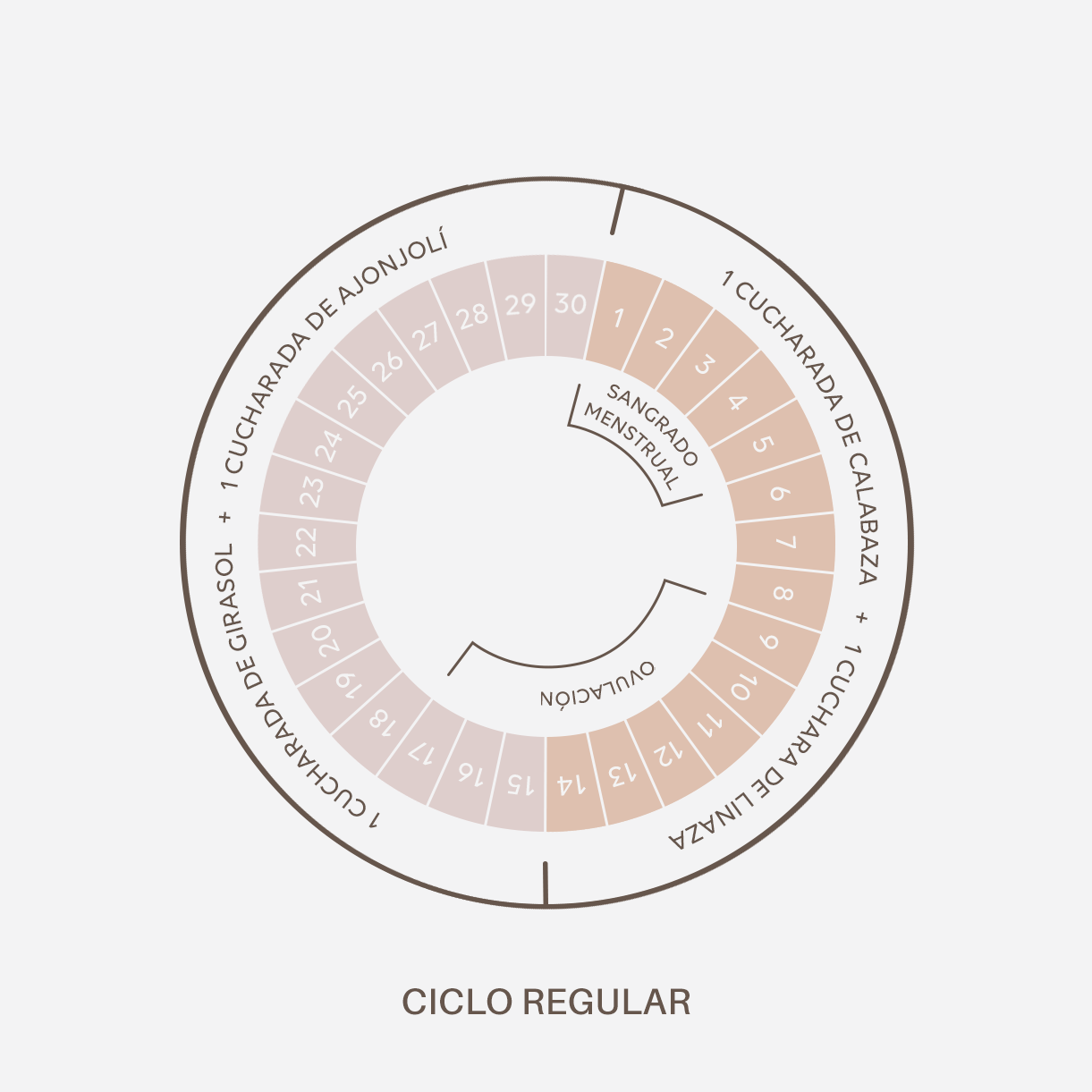 Ciclo de las Semillas