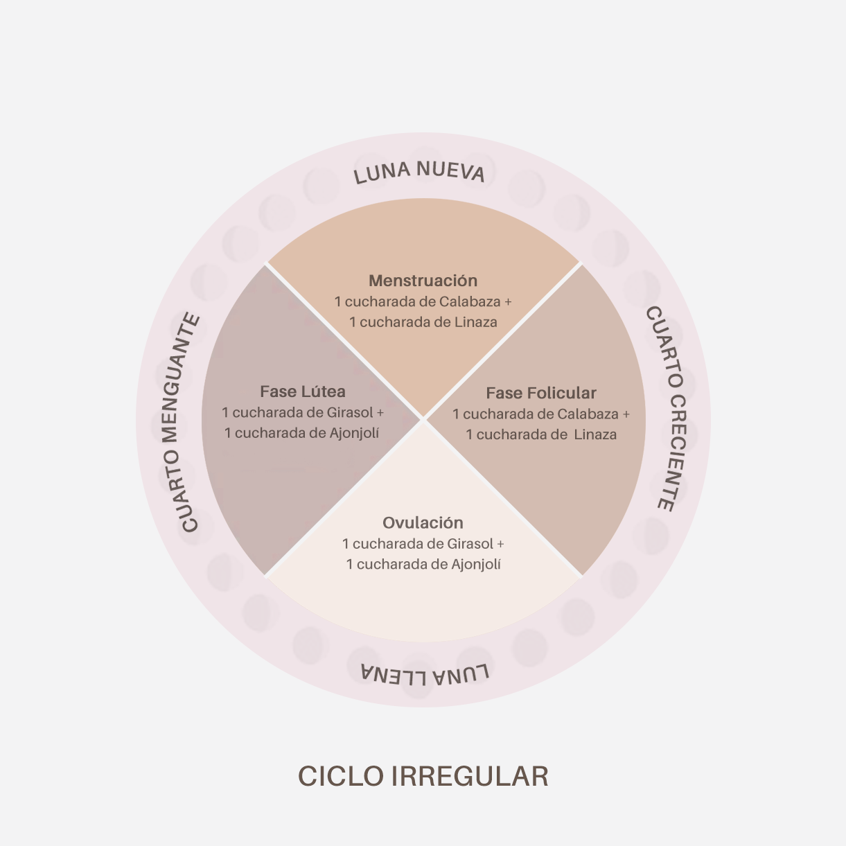 Ciclo de las Semillas