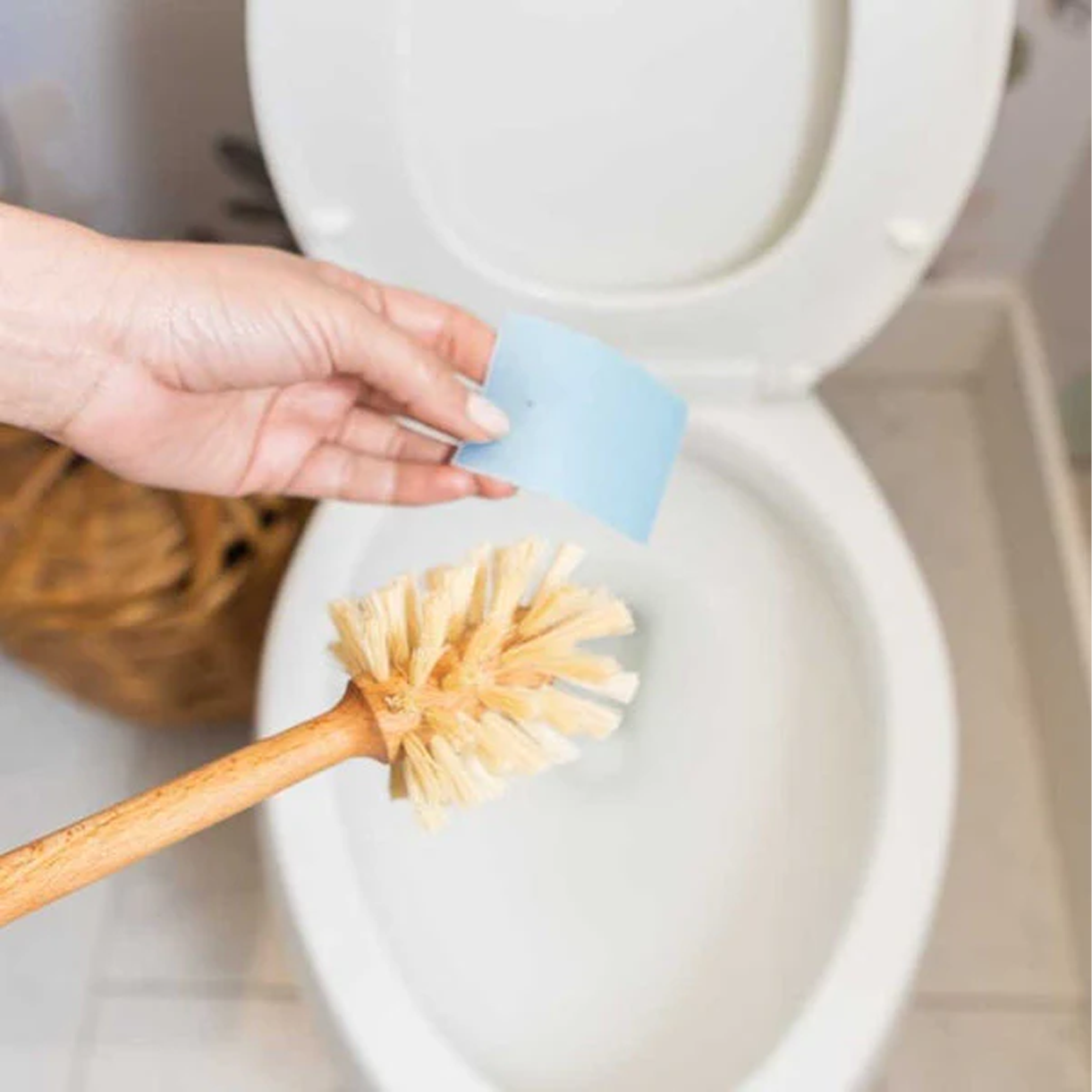 Toilet Cleaning Strips